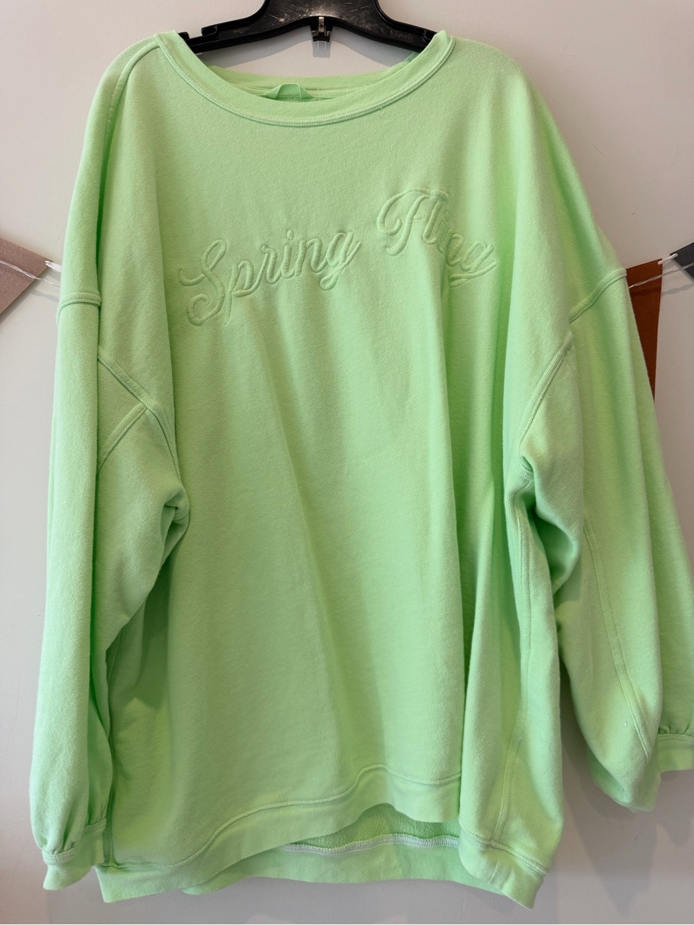 aerie Mint Green Oversized 'Spring Play' Crewneck Sweater
